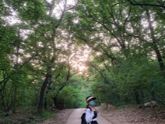 -紫金山山顶公园