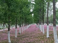 -汉长安城未央宫国家考古遗址公园