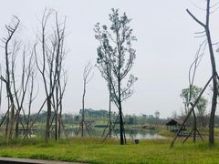 -白鹭湾湿地公园