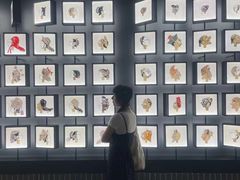 -四川大学博物馆