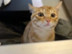 -开益书店(郓城南路店)