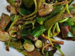 凉拌胡豆折耳根-蒲氏烤鸭(百寿路店)