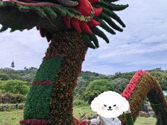 -巢湖姥山岛