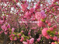 -朝阳公园