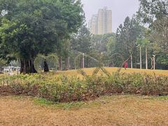 -人民公园(罗湖区)