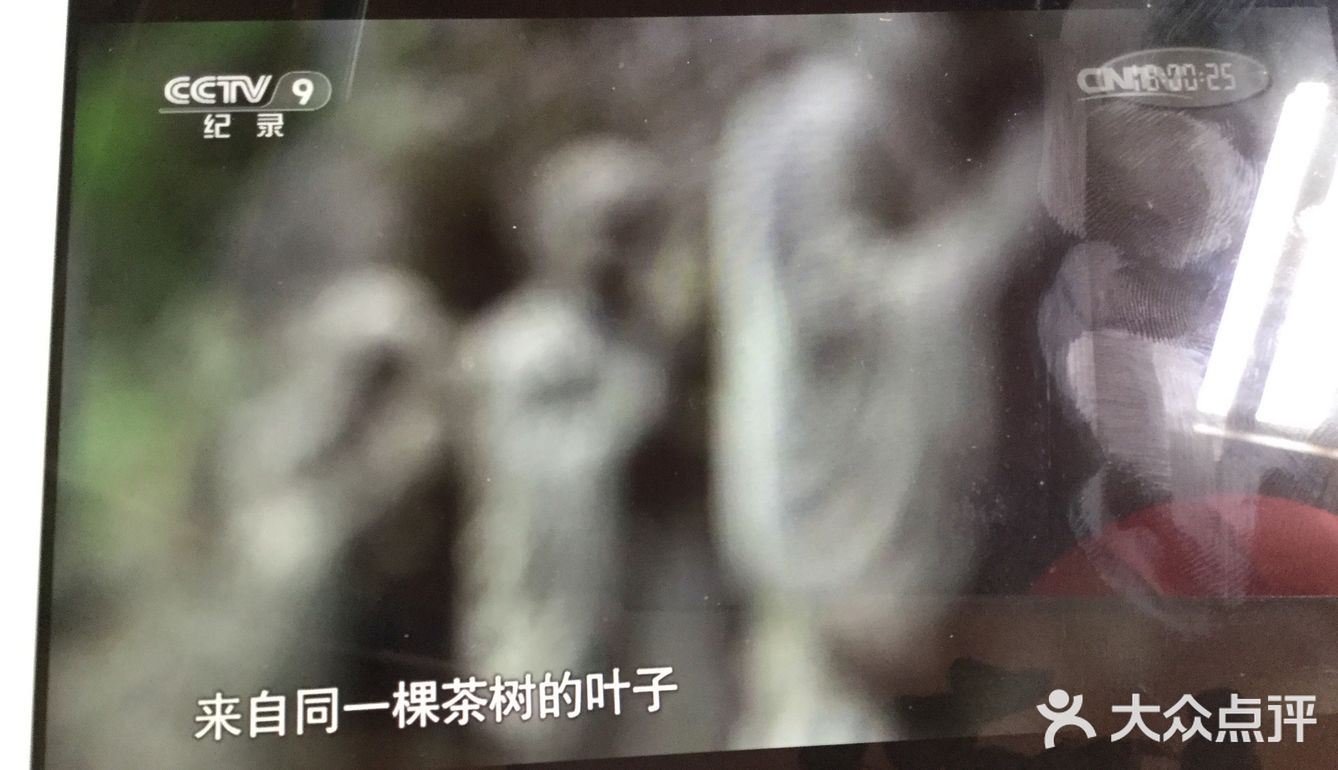 特色推荐: 纪录片《茶,一片茶叶的故事》,早上刚刚看