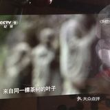特色推荐: 纪录片《茶,一片茶叶的故事》,早上刚刚看