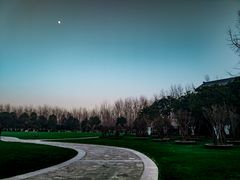 -合肥滨湖国家森林公园