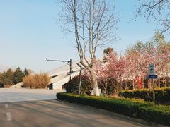 -诸城市恐龙博物馆