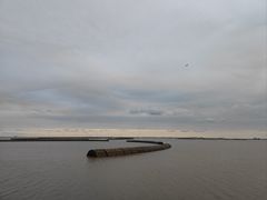 -南汇嘴观海公园