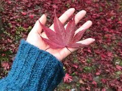 -古尔沟华美达温泉度假酒店