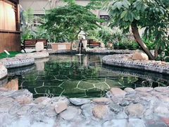 -大顶子山温泉旅游区
