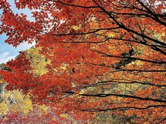 -叠溪松坪沟景区