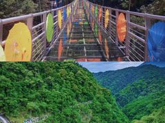 -九龙江国家森林公园