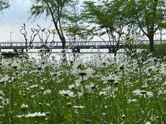 -阳澄湖半岛旅游度假区