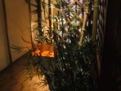 -端艾堂·SPA·艾灸(棕榈泉013店)