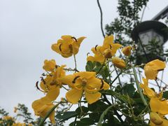 -贵阳市花溪国家城市湿地公园