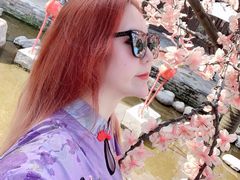 -茯茶镇