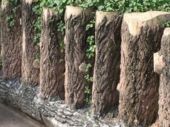 -黑龙江省森林植物园