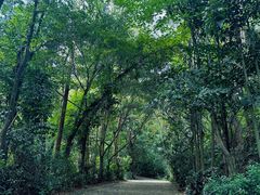 -滴水岩森林公园
