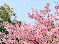 -新江湾城公园