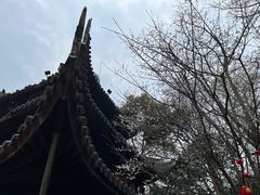 -龙华寺