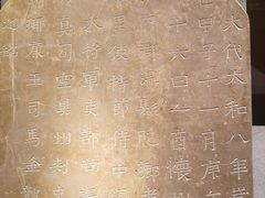 -太原市博物馆