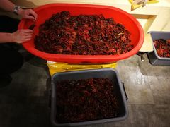 -日进一片海.生腌海鲜火锅.宵夜烧烤(三里屯总店)