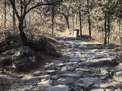 -阳台山自然风景区