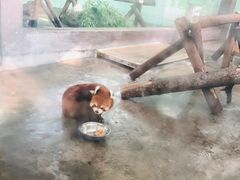 -上海动物园(地铁站)