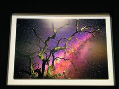 -罗红摄影艺术馆