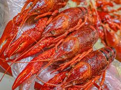 -香满锅老北京羊蝎子火锅·家常菜(新街口店)