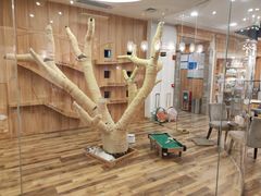 -袖虎·猫馆(体育西路店)