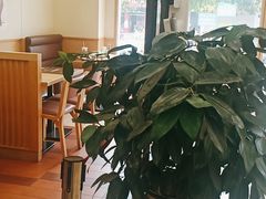 -德克士(深泽店)