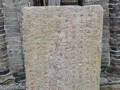 -上海佘山国家森林公园天马山园