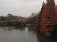 iphone_upload_pic-雨花台烈士纪念馆