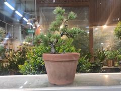 -双季花艺园艺市场(浦东店)