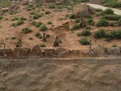 android_upload_pic-石家庄市动物园