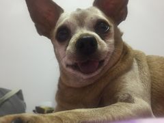 -沐沐家宠物(成寿寺店)