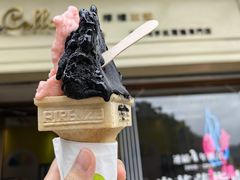 -柠檬车露(卖草地店)