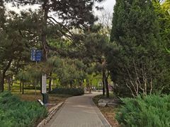 -玲珑塔公园