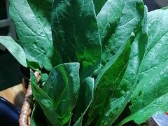 -塔兰齐新疆孜然火锅(鲤鱼山路店)