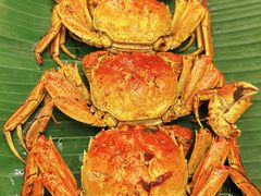 -鹏城人家海鲜酒家·23年老字号(较场尾店)