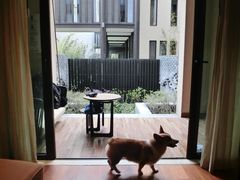 -上海崇明金茂凯悦酒店