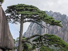 -黄山风景区