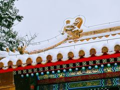 -颐和园