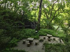 -白马涧龙池景区