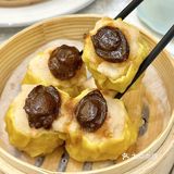 🍵佛山千灯湖茶楼天花板，极致享受[害羞]