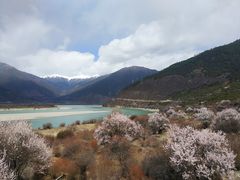-佛掌沙丘