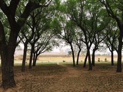 -赛汗塔拉风情园